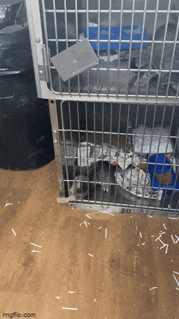Acid GIFs, August 2 (25 gifs)