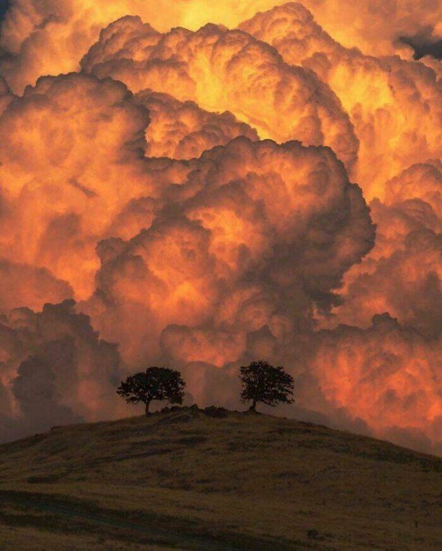 A Little Bit Of Megalophobia (17 pics)
