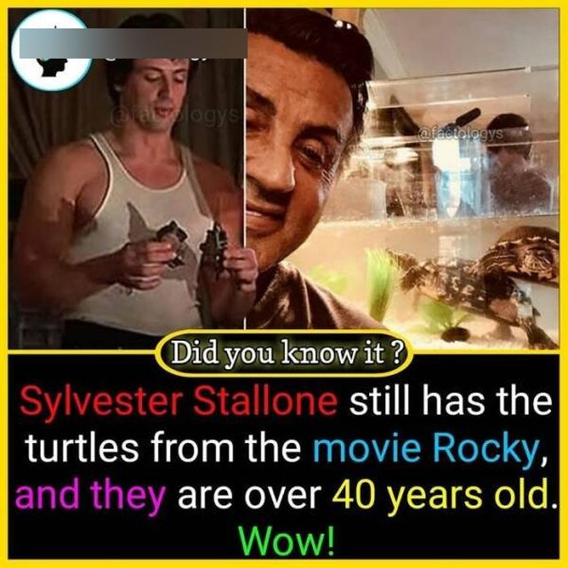 Fascinating Facts (27 pics)