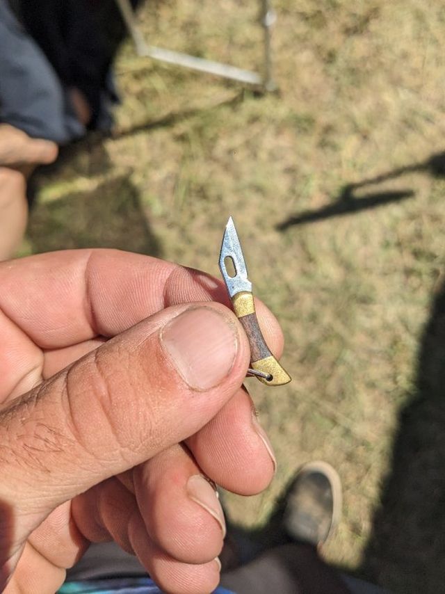 Interesting And Unusual Finds (16 pics)