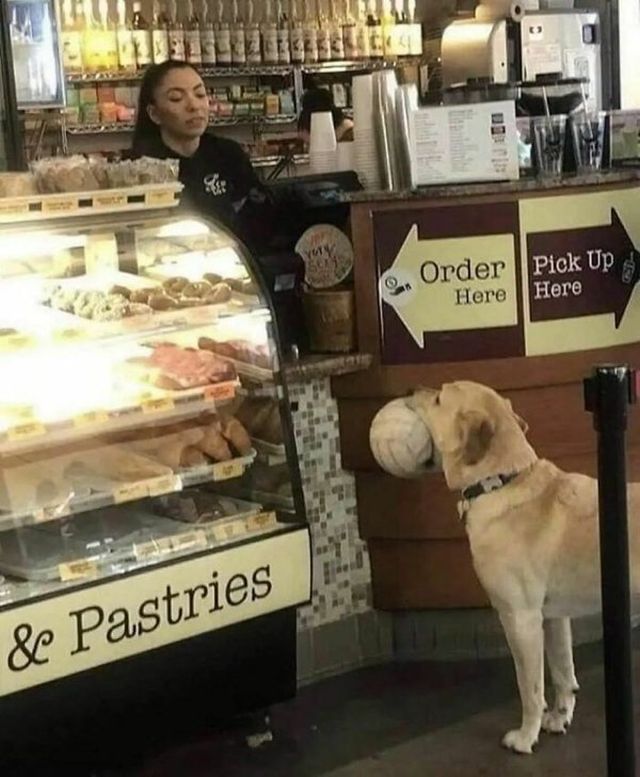 Unexpected Encounters (33 pics)