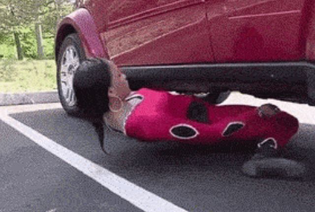 Acid GIFs, August 8 (25 gifs)