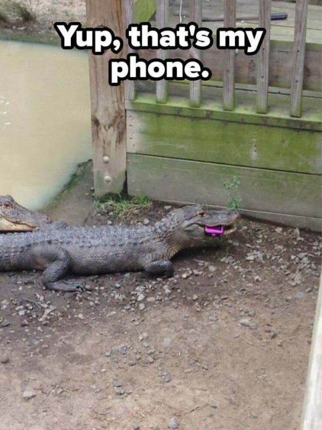 Bad Days Happen (25 pics)