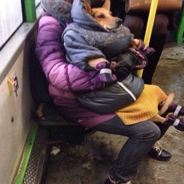 Daily Pictures. Part 1 (82 pics)