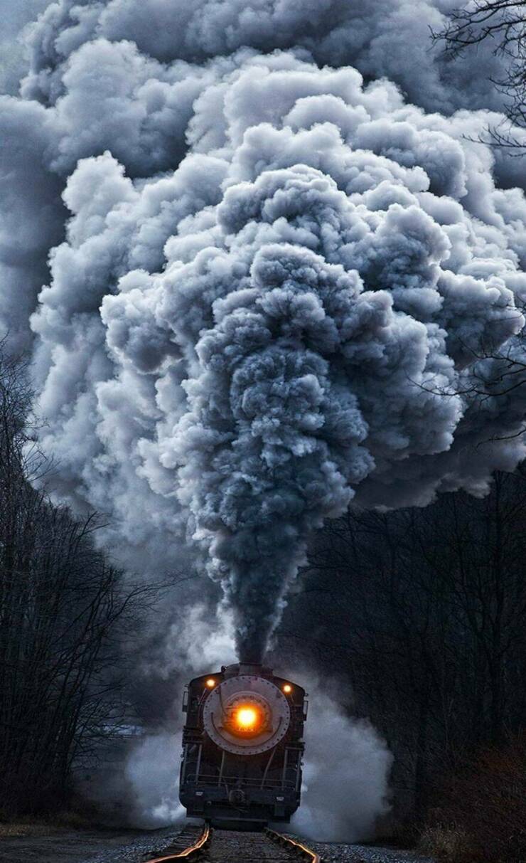 Daily Pictures. Part 1 (82 pics)