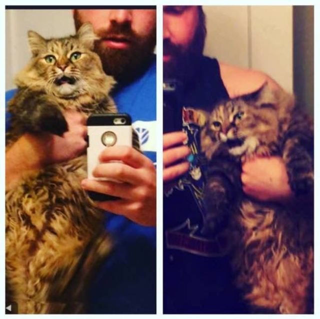 They Don't Like "Their" People (19 pics)