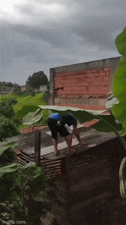 Acid GIFs, August 10 (25 gifs)