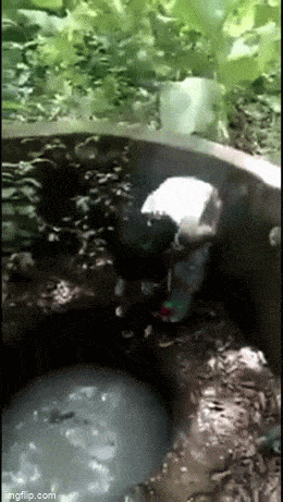 Acid GIFs, August 10 (25 gifs)
