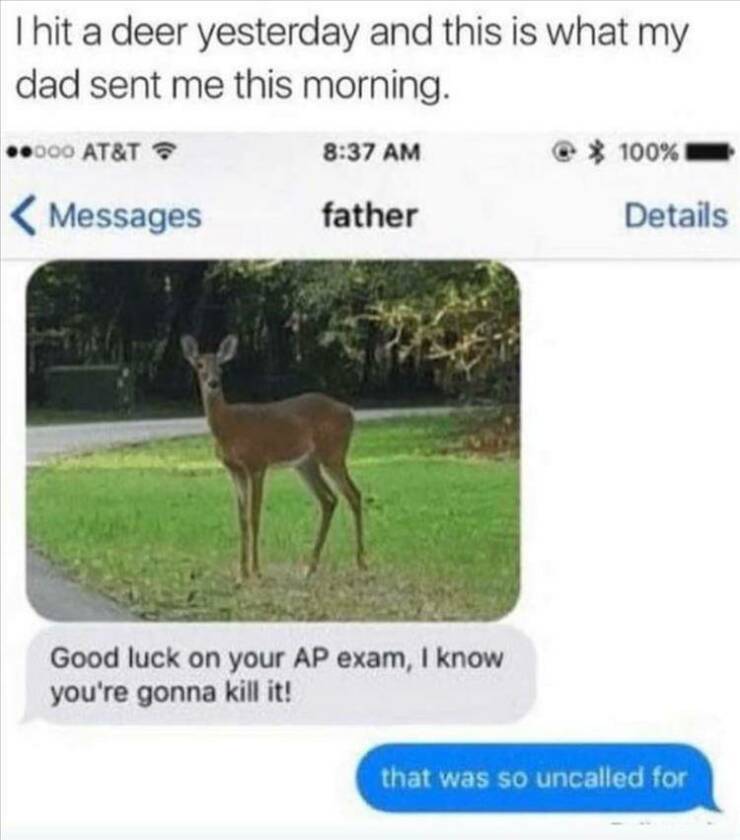 Daily Pictures. Part 2 (71 pics)