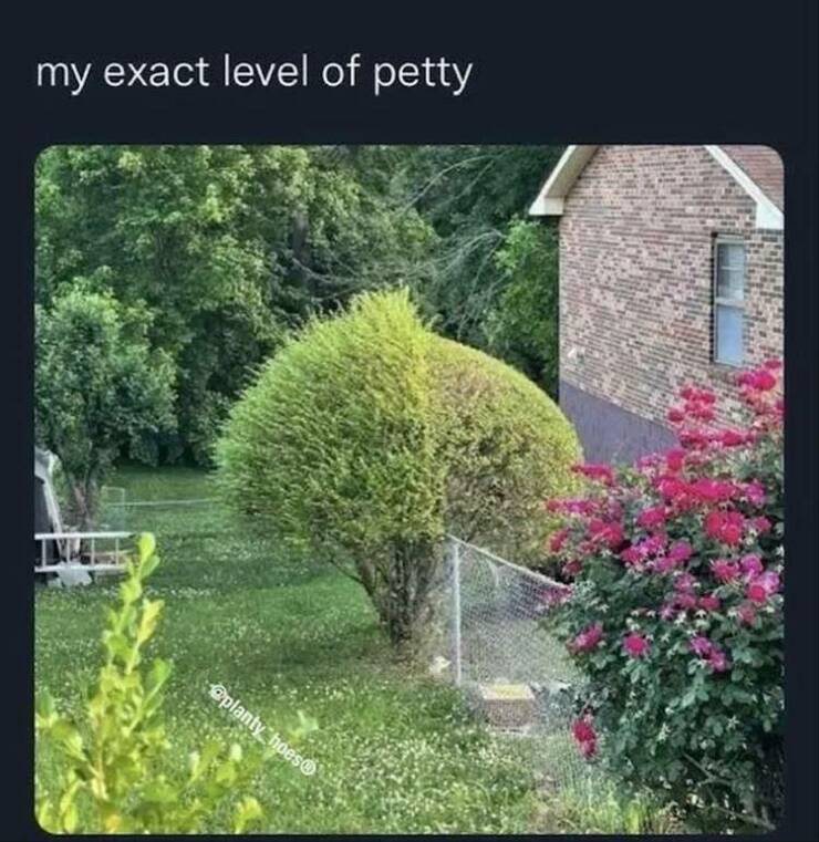 Daily Pictures. Part 2 (71 pics)