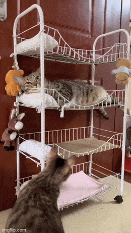 Acid GIFs, August 11 (25 gifs)