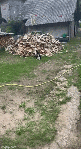 Acid GIFs, August 11 (25 gifs)