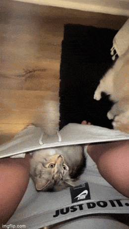 Acid GIFs, August 11 (25 gifs)
