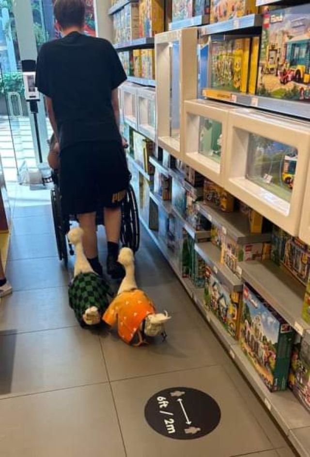 Odd Finds And Situations (27 pics)