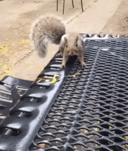 Acid GIFs, August 14 (25 gifs)