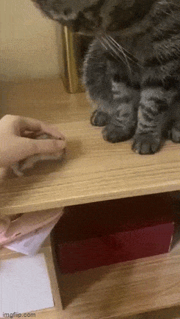 Acid GIFs, August 14 (25 gifs)