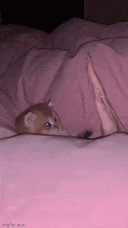 Acid GIFs, August 14 (25 gifs)