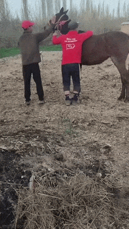 Acid GIFs, August 15 (25 gifs)