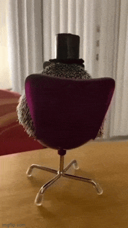 Acid GIFs, August 15 (25 gifs)