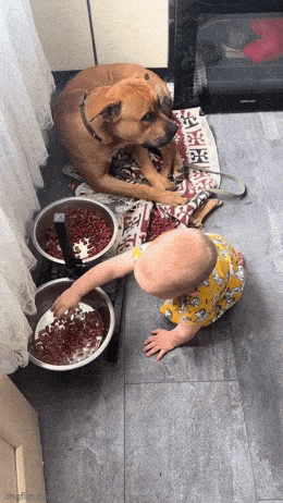 Acid GIFs, August 15 (25 gifs)