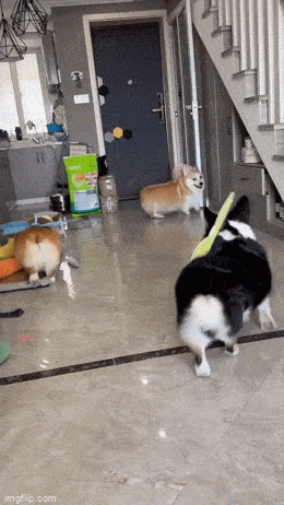 Acid GIFs, August 15 (25 gifs)