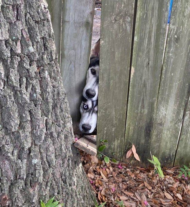 Unexpected Encounters (17 pics)