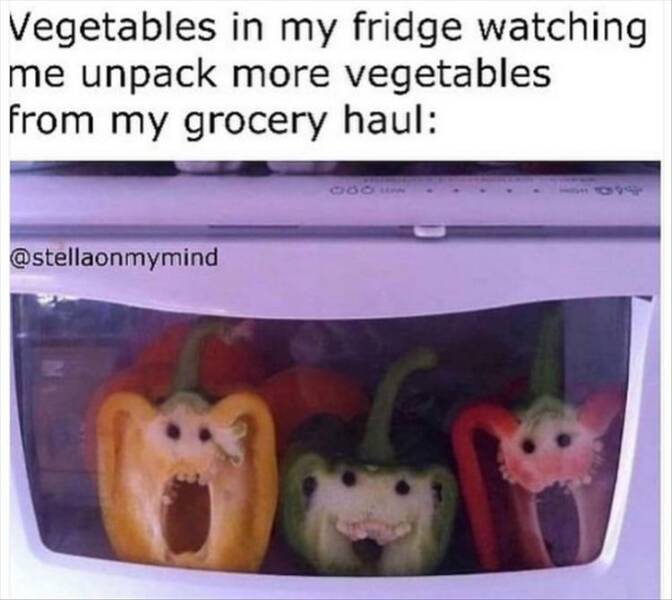 Daily Pictures. Part 2 (76 pics)