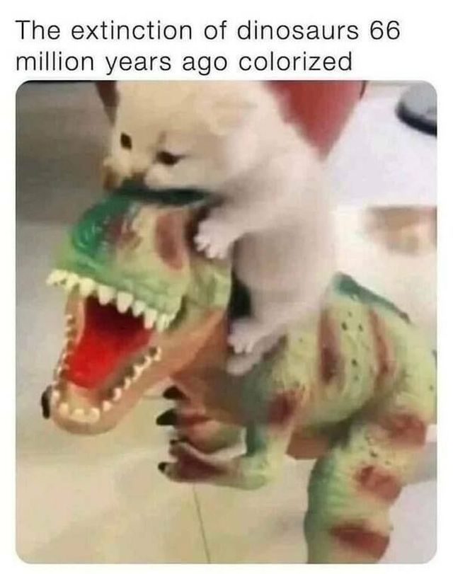 Funny Memes With Dinosaurs (21 pics)