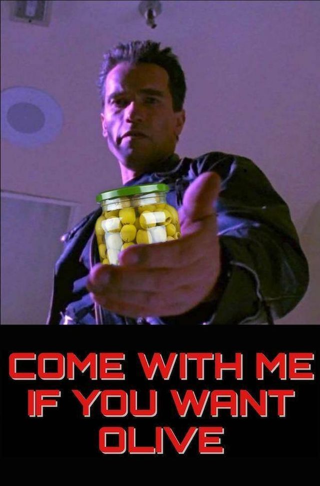 ''Terminator'' Memes (25 pics)