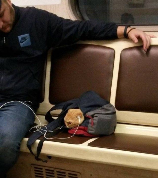 Eternal Love (20 pics)