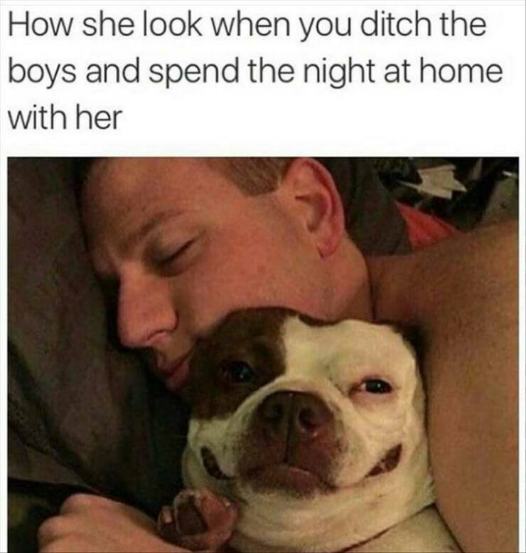 Daily Pictures. Part 2 (74 pics)