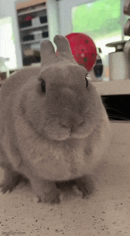 Acid GIFs, August 18 (25 gifs)