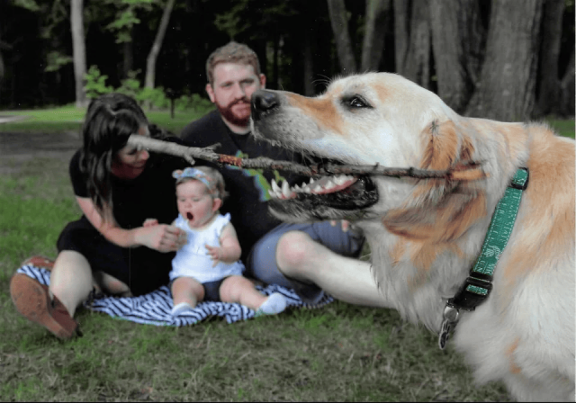 Brazen Intrusions Into Others' Photos (17 pics)