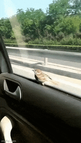 Acid GIFs, August 22 (25 gifs)