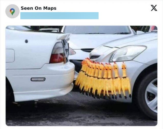 Weird Finds On Google Maps (17 pics)