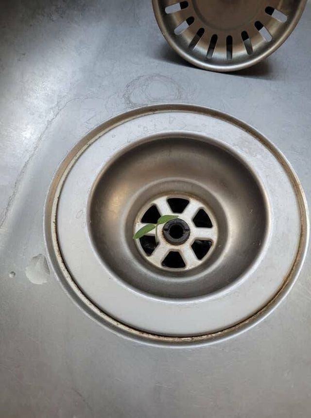 Unexpected Finds (15 pics)