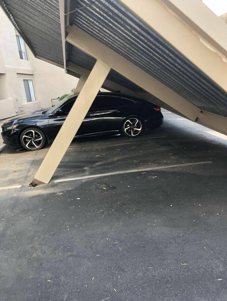 Daily Pictures. Part 1 (66 pics)