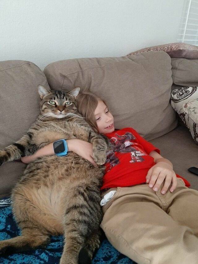 Daily Pictures. Part 1 (66 pics)