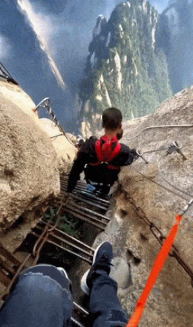 Acid GIFs, August 28 (25 gifs)
