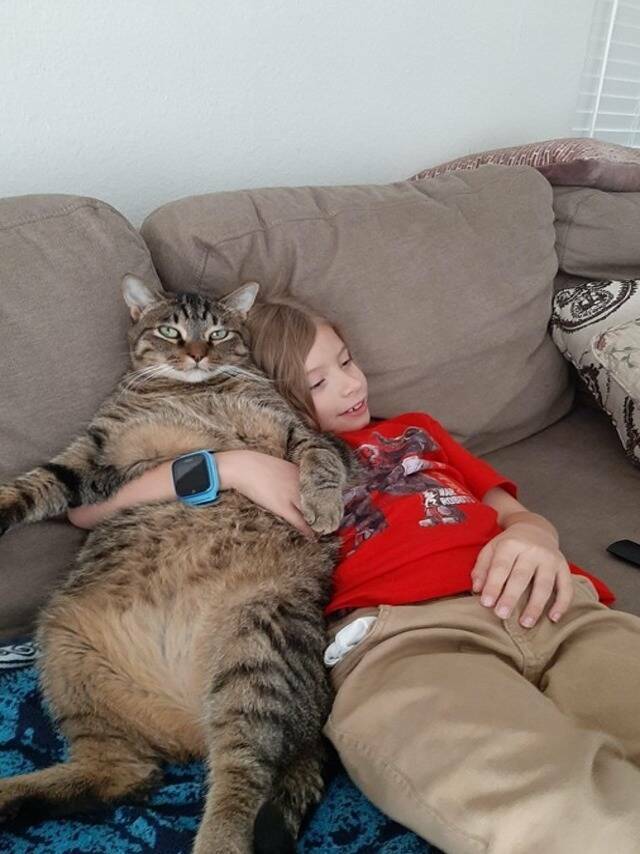 Daily Pictures. Part 2 (70 pics)