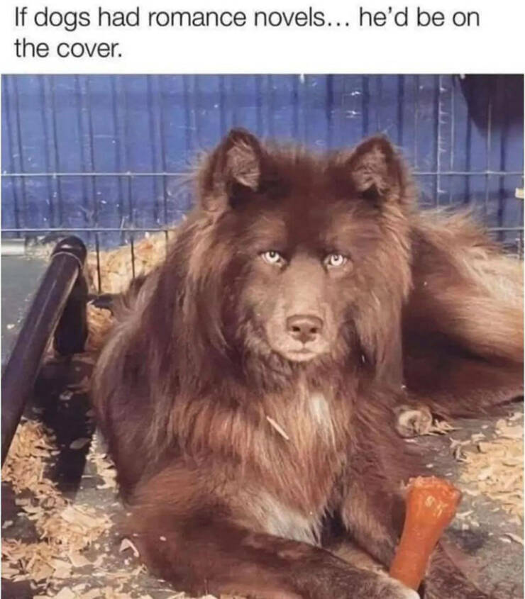Daily Pictures. Part 2 (70 pics)