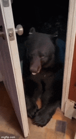 Acid GIFs, August 29 (25 gifs)