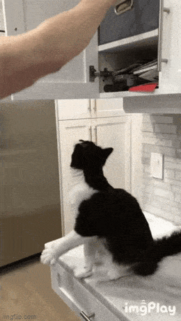 Acid GIFs, August 29 (25 gifs)