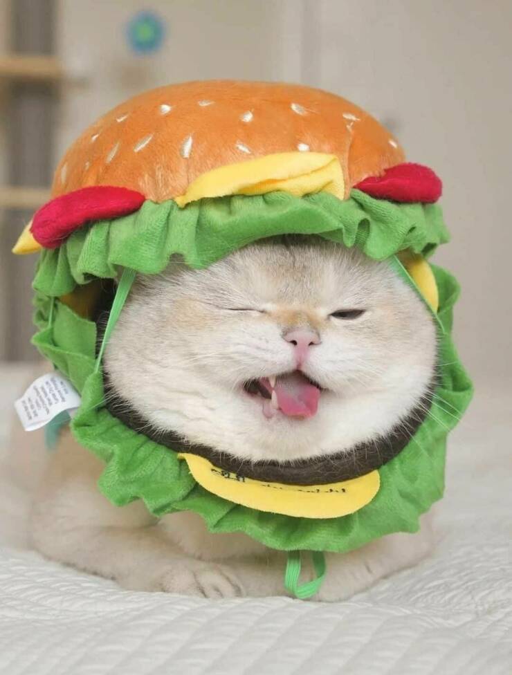 Daily Pictures. Part 1 (74 pics)