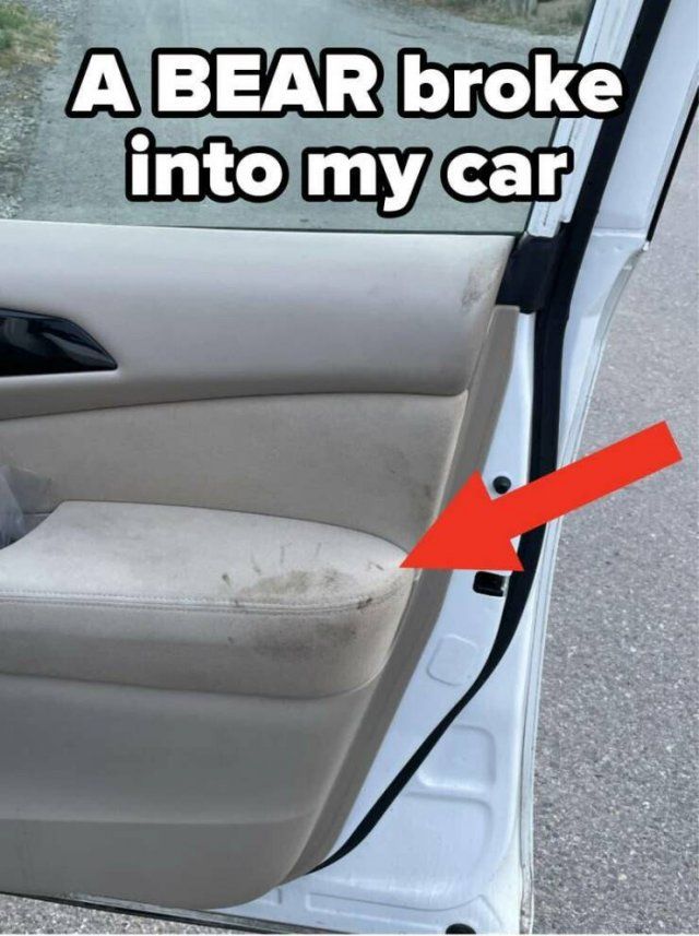 Bad Days Happen (20 pics)