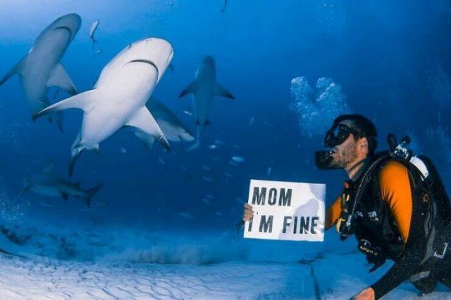 Messages For Mom From A Funny Traveler (23 pics)
