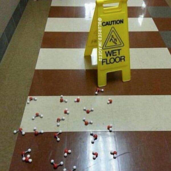 What Is Going On Here? (24 pics)