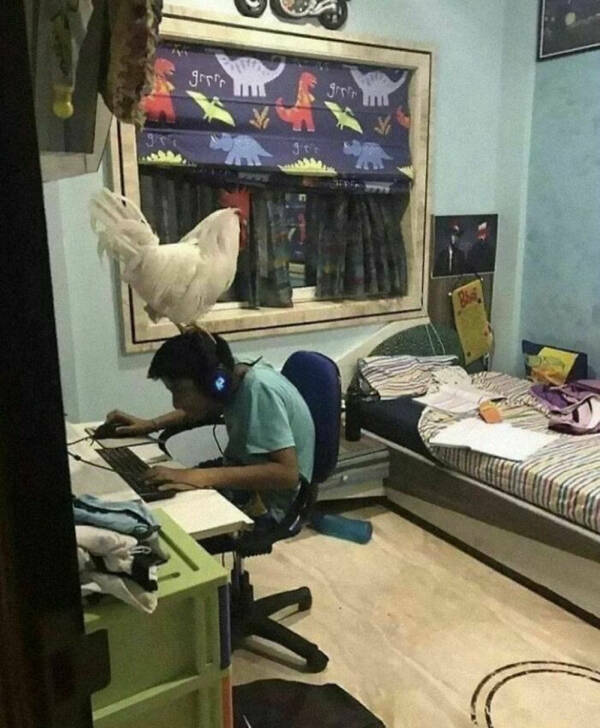 What Is Going On Here? (24 pics)