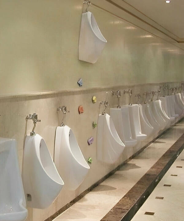 What Is Going On Here? (24 pics)