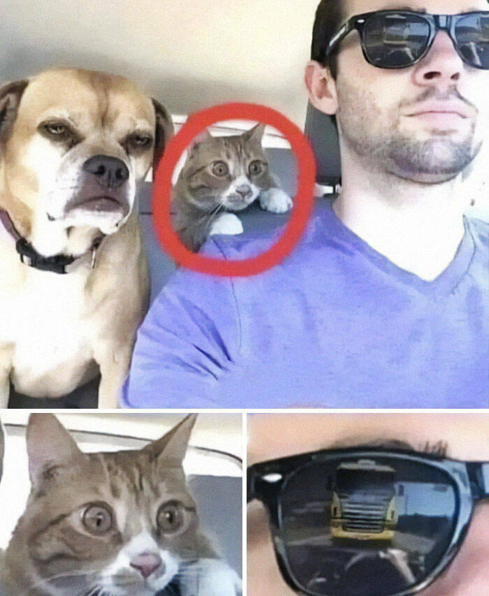 What Is Going On Here? (24 pics)